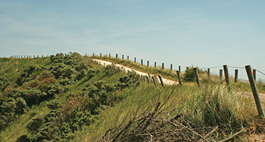 Duinomgeving van Westkapelle